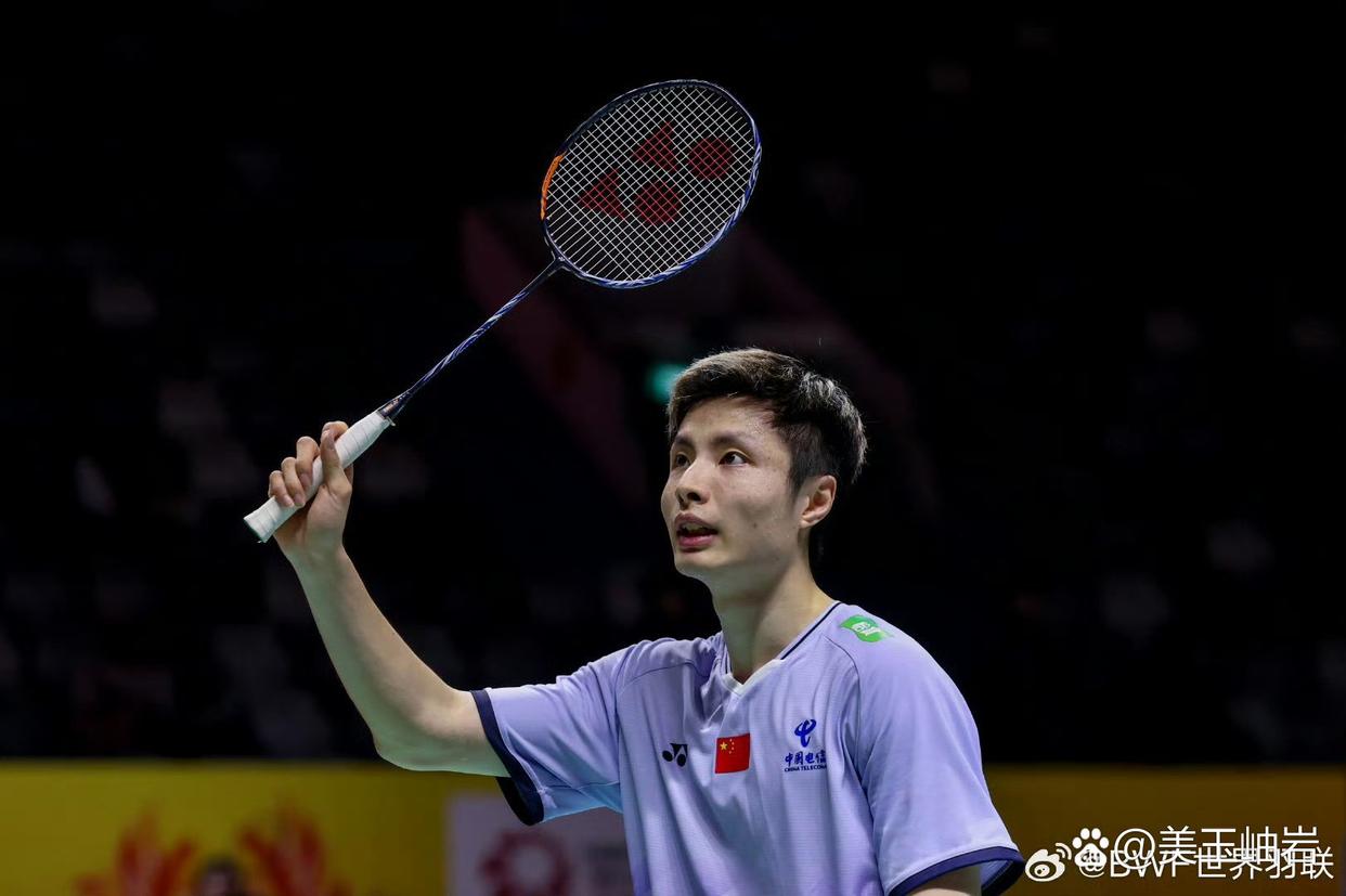 意大利的 意大利的