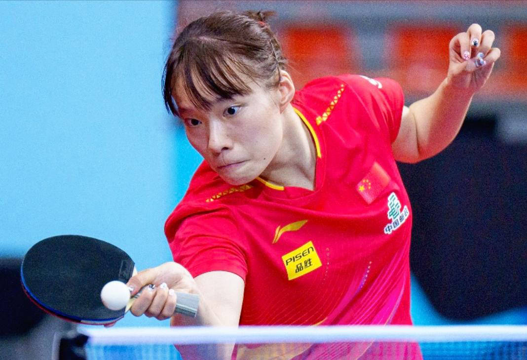 导使用电动 导使用电动